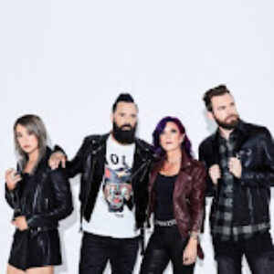 Group logo of Skillet