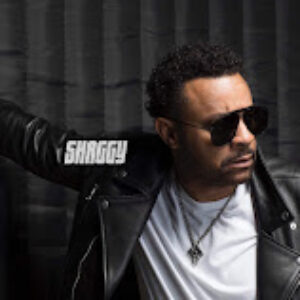 Group logo of Shaggy